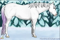 Horse Color:Watercolor Brown Appaloosa 