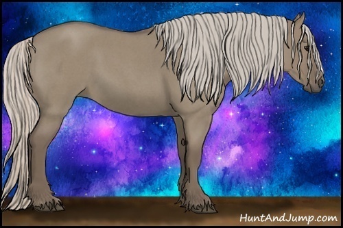 Horse Color:Silver Grullo Roan 