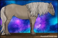 Horse Color:Silver Grullo Roan 