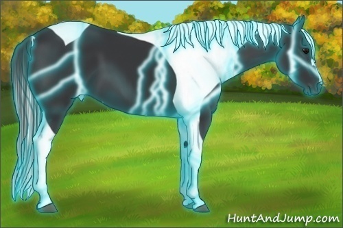 Horse Color:Thunderstruck Black Tobiano