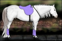 Horse Color:Blue Roan Appaloosa