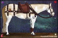 Horse Color:White Spotted Liver Red Dun Pearl Splash 