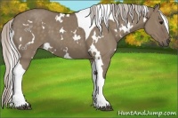 Horse Color:White Spotted Silver Grullo Tobiano