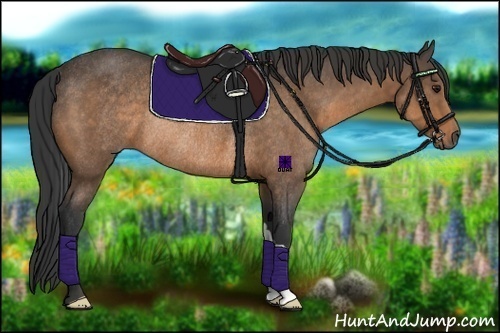 Horse Color:Buckskin Rabicano