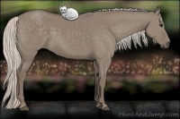 Horse Color:Silver Grullo