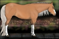 Horse Color:Silver Bay