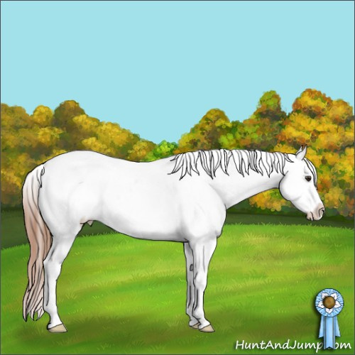 Horse Color:Chestnut Varnish Rabicano 