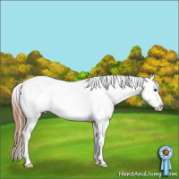 Horse Color:Chestnut Varnish Rabicano 