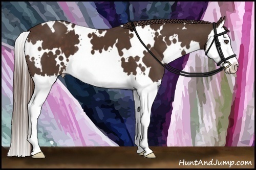 Horse Color:White Spotted Liver Chestnut Splash 