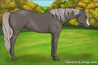 Horse Color:Silver Black 