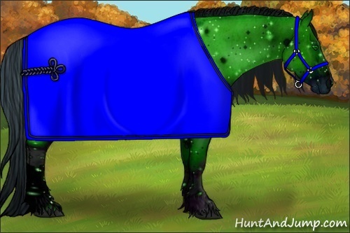 Horse Color:ERROR: UNKNOWN ANOMALY