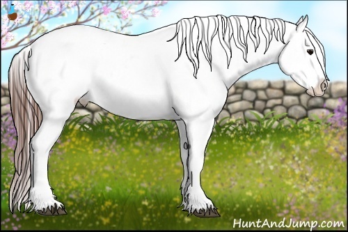 Horse Color:Brown Snowcap 