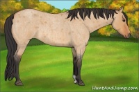 Horse Color:Bay Roan Dun Rabicano 