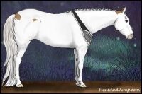 Horse Color:Silver Bay Dun Splash Tobiano 