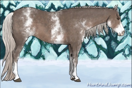 Horse Color:White Spotted Silver Black Sabino 