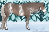 Horse Color:White Spotted Silver Black Sabino 