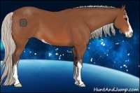 Horse Color:Silver Bay Sabino