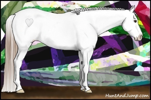 Horse Color:Liver Red Roan Splash Appaloosa 