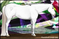 Horse Color:Liver Red Roan Splash Appaloosa