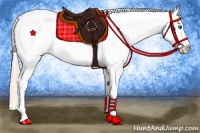 Horse Color:Gold Champagne Dun Splash Frame Blanket 