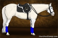 Horse Color:Cremello Dun Sabino Splash 