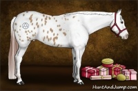 Horse Color:Red Dun Appaloosa 