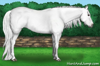 Horse Color:Gray Black Frame 