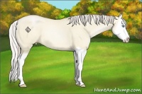 Horse Color:Palomino Pearl Dun Splash 