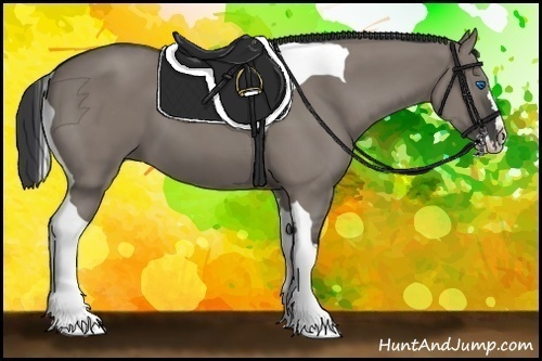 Horse Color:Grullo Splash Tobiano 