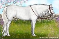 Horse Color:Perlino Roan Blanket