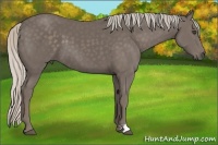 Horse Color:Silver Black 