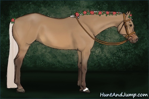 Horse Color:Silver Bay Dun