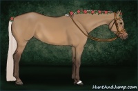 Horse Color:Silver Bay Dun