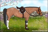 Horse Color:Bay Roan Tobiano