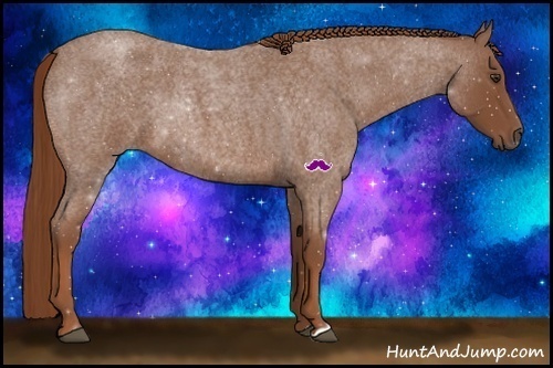 Horse Color:Red Roan