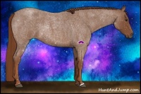 Horse Color:Red Roan 