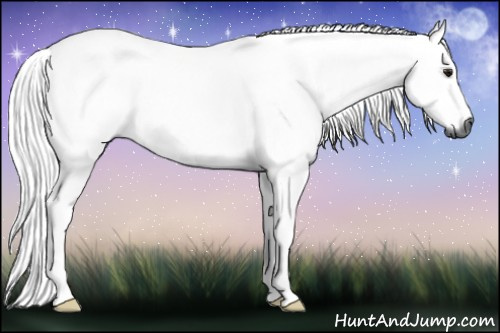 Horse Color:Gray Watercolor Bay