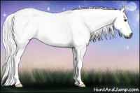 Horse Color:Gray Watercolor Bay 