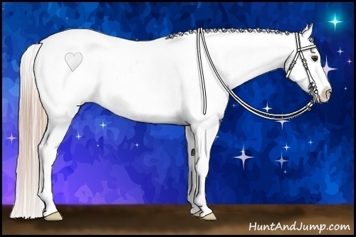 Horse Color:Palomino Roan Appaloosa 