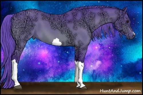 Horse Color:Watercolor Bay Ice 