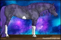 Horse Color:Watercolor Bay Ice 