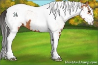 Horse Color:White Spotted Bay Tobiano Frame