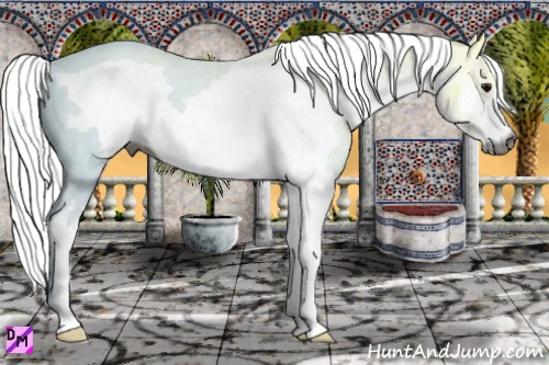 Horse Color:Gray White Spotted Smoky Black Ice Frame 