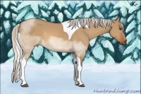 Horse Color:Silver Bay Dun Sabino Tobiano