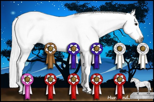 Horse Color:Gray Black Sabino 