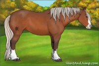 Horse Color:Silver Bay Sabino Splash
