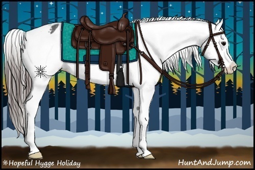 Horse Color:Black Sabino Appaloosa 