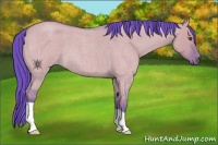 Horse Color:Watercolor Bay Roan Dun 