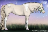 Horse Color:Perlino Tobiano