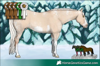 Horse Color:White Spotted Silver Classic Champagne Ice Dun Tobiano Frame Rabicano